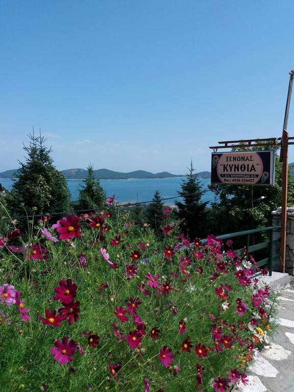 Kynthia Guesthouse Neochori (Karditsa) Exterior foto